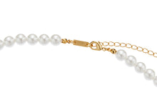 將圖片載入圖庫檢視器 Star Gold Butterfly