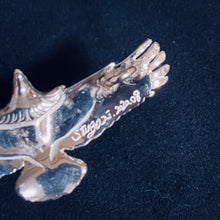 將圖片載入圖庫檢視器 Silver Eagel Pendant